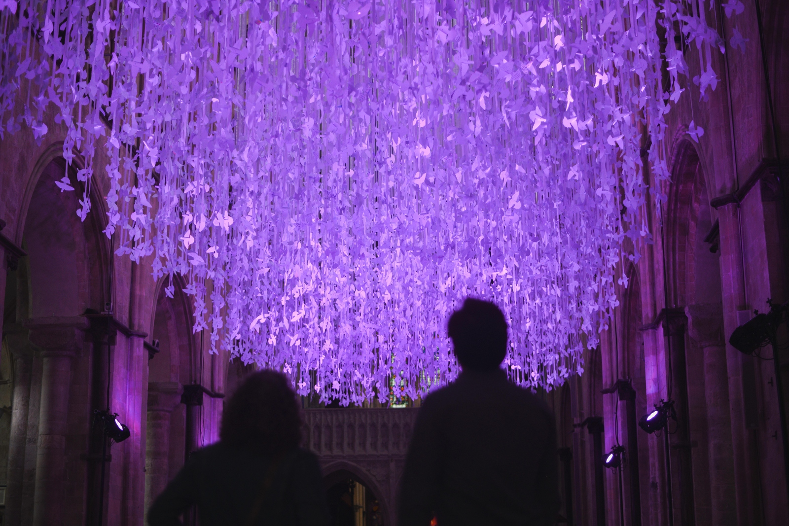 soar-into-october-half-term-with-chichester-cathedral-chichester